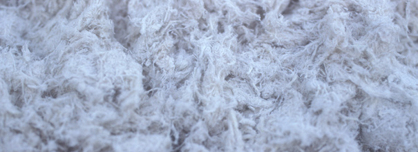 C L Prosser - Asbestos Removal